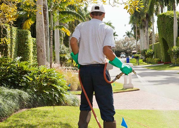 About Mitchell OR Pest Control Pros